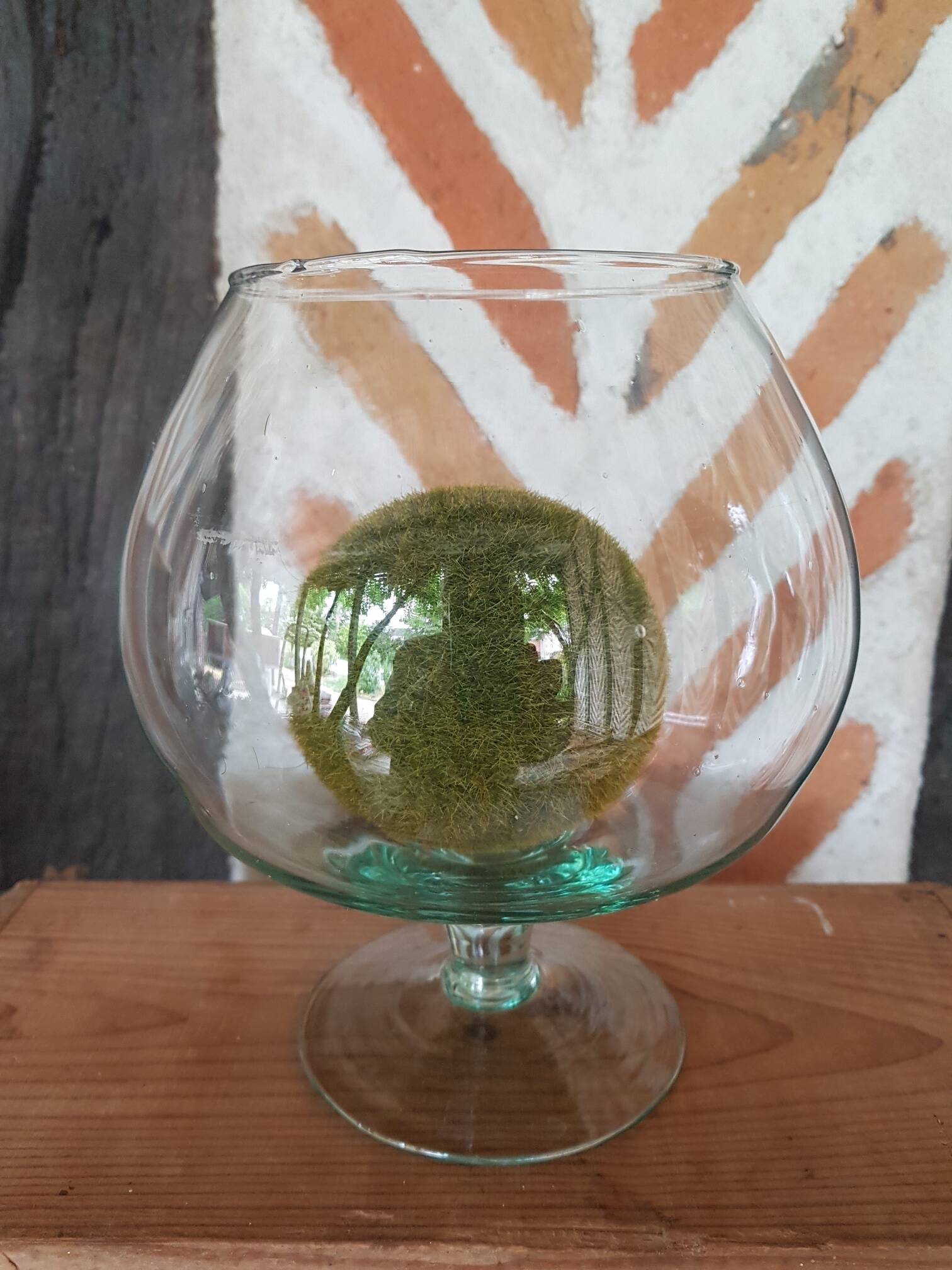 Glass terrarium cup vase