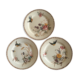 Set of plates made of iron earth 19th flowers and birds