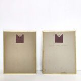 Lot 2 Bird lithographs by J. Gould and H-C Richter golden frame