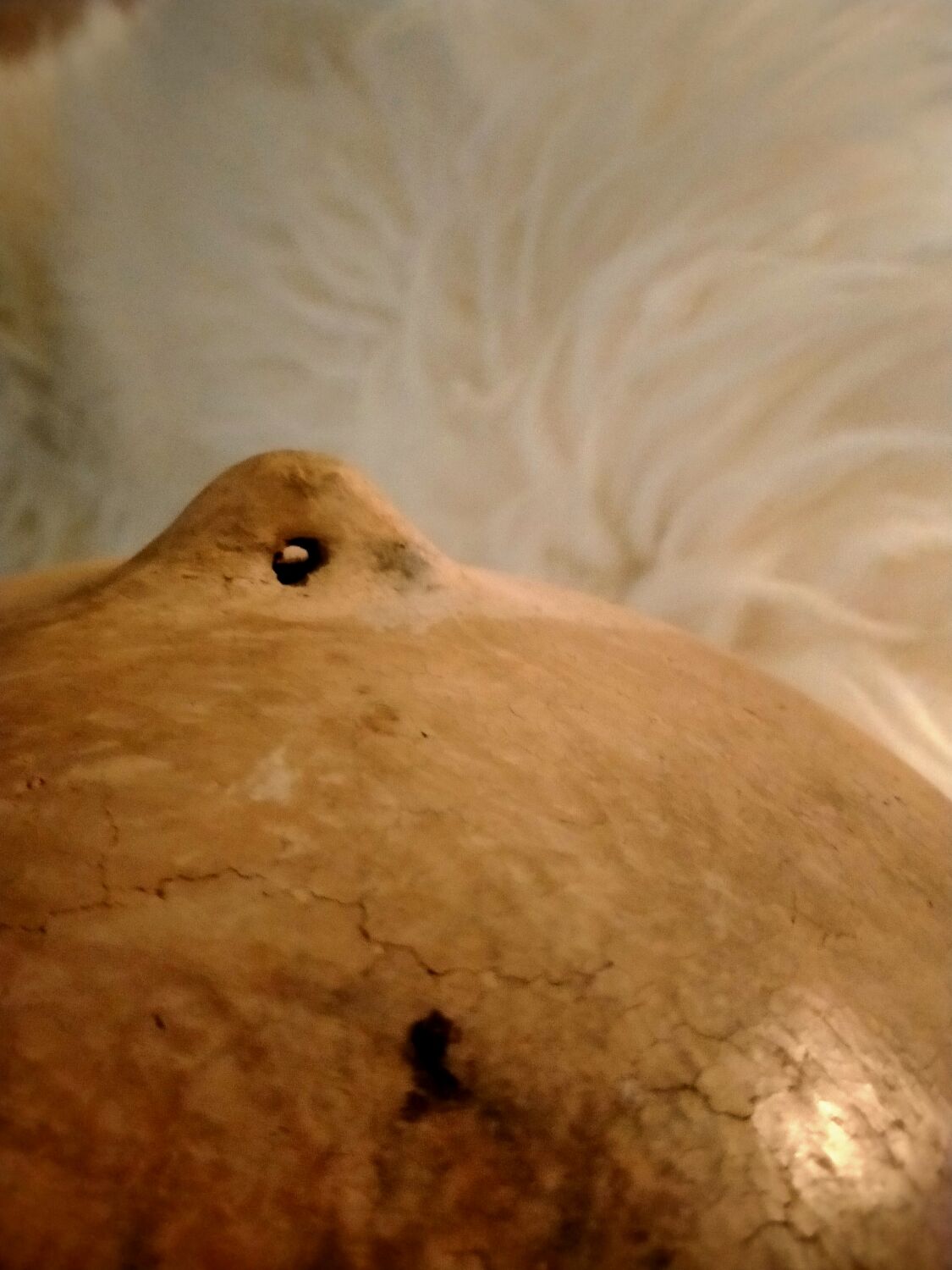 Berber wall plates Kabylie - Rif