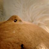 Berber wall plates Kabylie - Rif