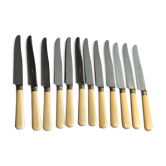 Housewife 12 metal knives and handle in Paris silversmith's horn