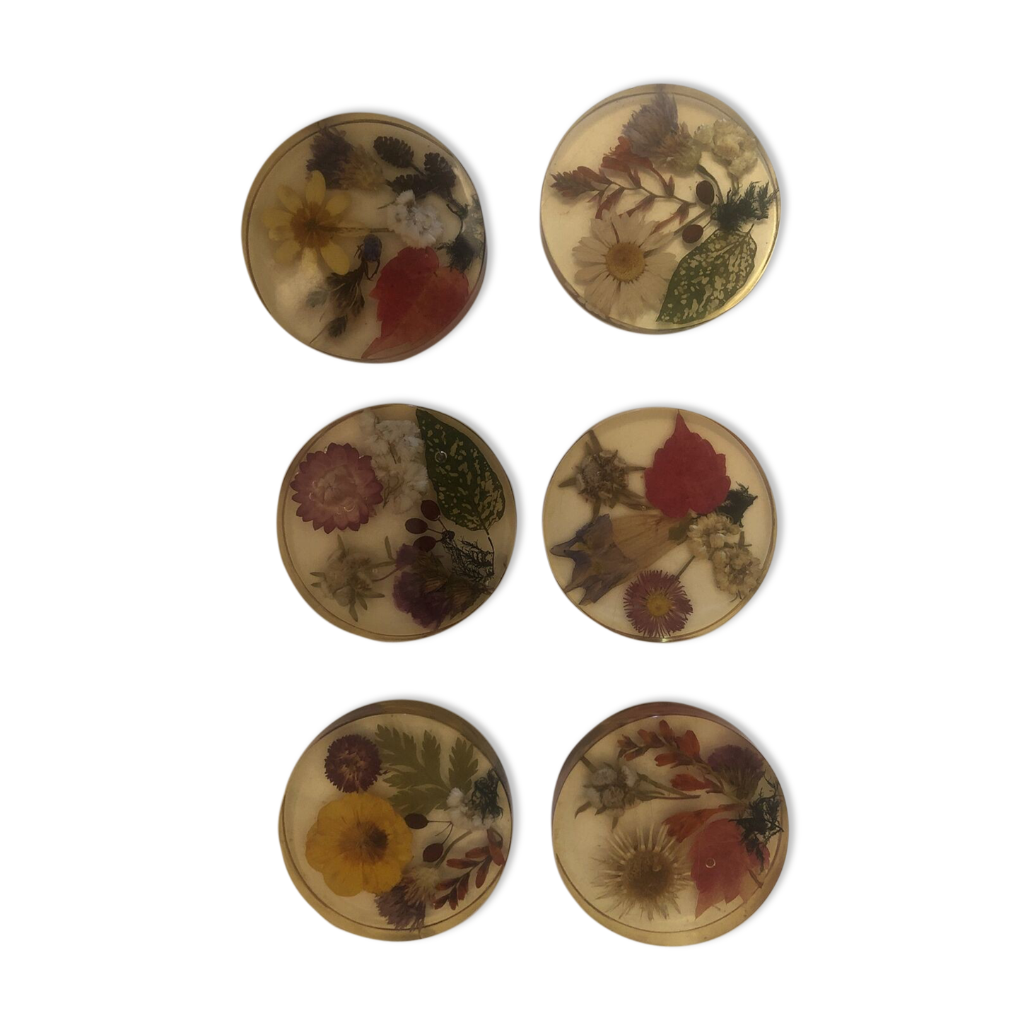 Lot 6 under glass botanical inclusion in resin genuine vintage flowers