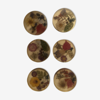 Lot 6 under glass botanical inclusion in resin genuine vintage flowers