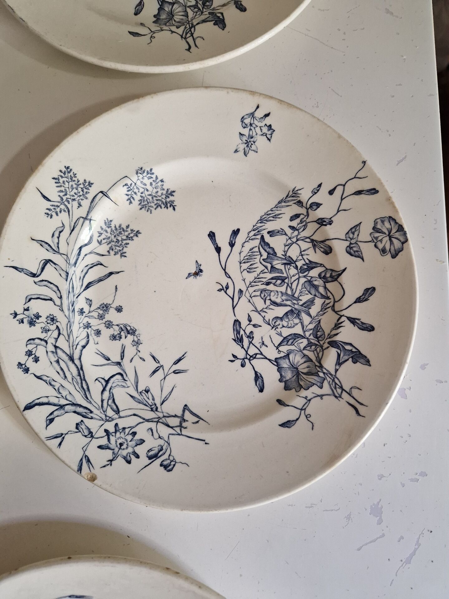 Lot De 9 Assiettes Plates Terre De Fer