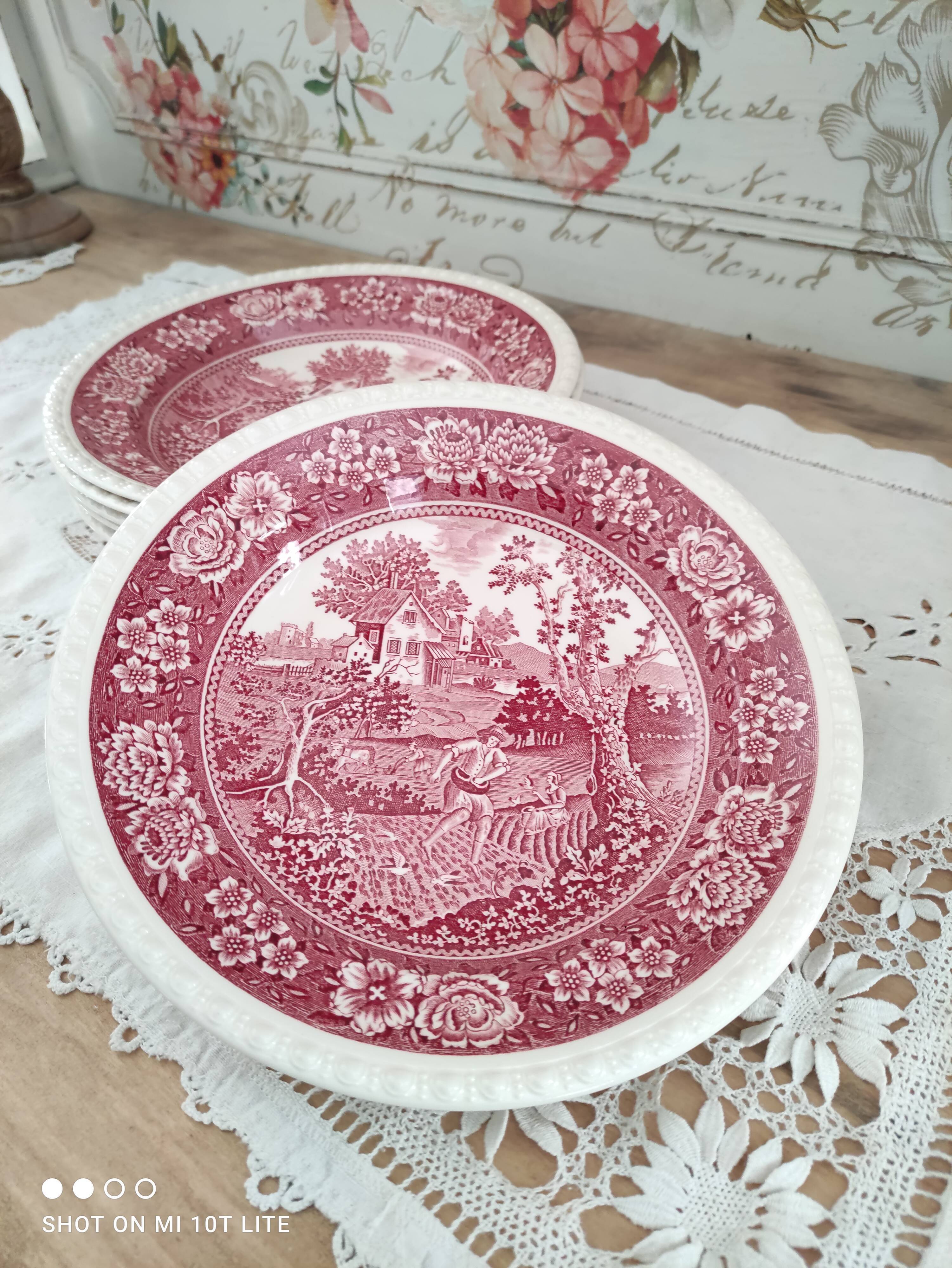 Set of 6 hollow plates in opaque porcelain Villeroy & Boch model Rusticana red English décor