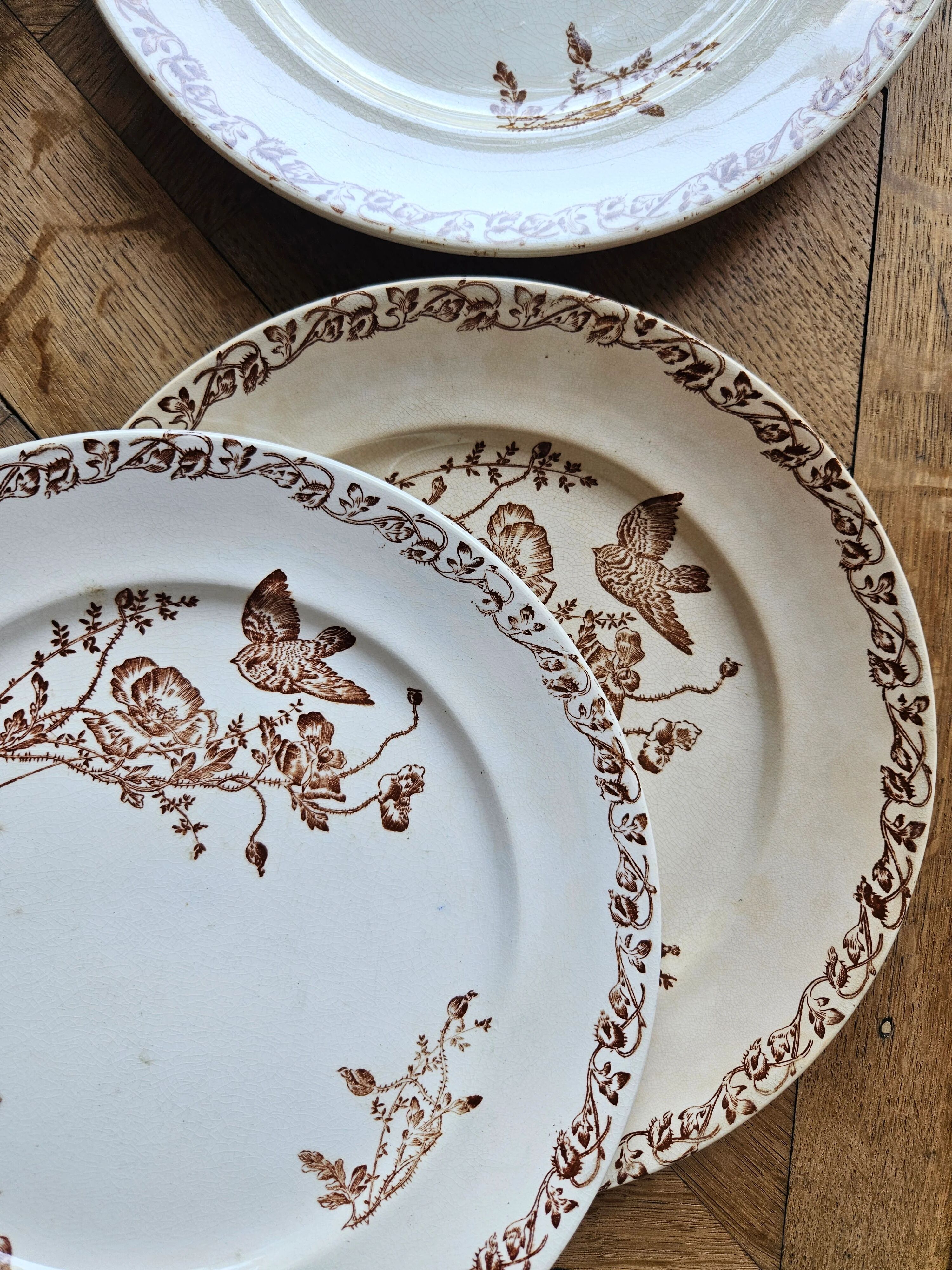 Flat plates, ironstone, poppies