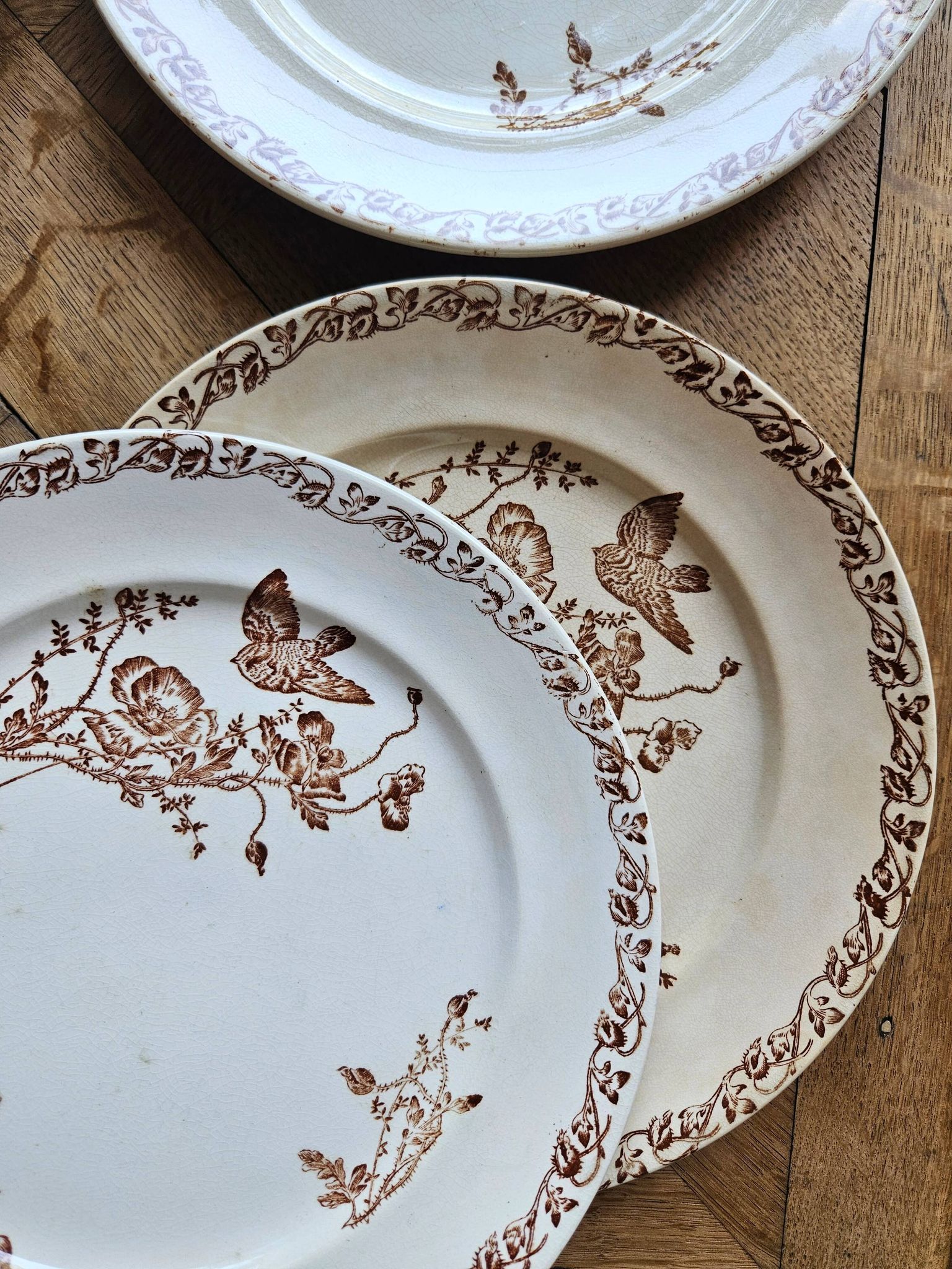 Flat plates, ironstone, poppies