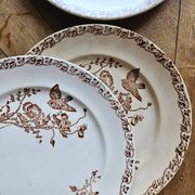 Flat plates, ironstone, poppies
