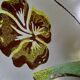 Lot 2 appliques murales