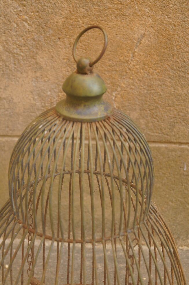 Vintage bird cage