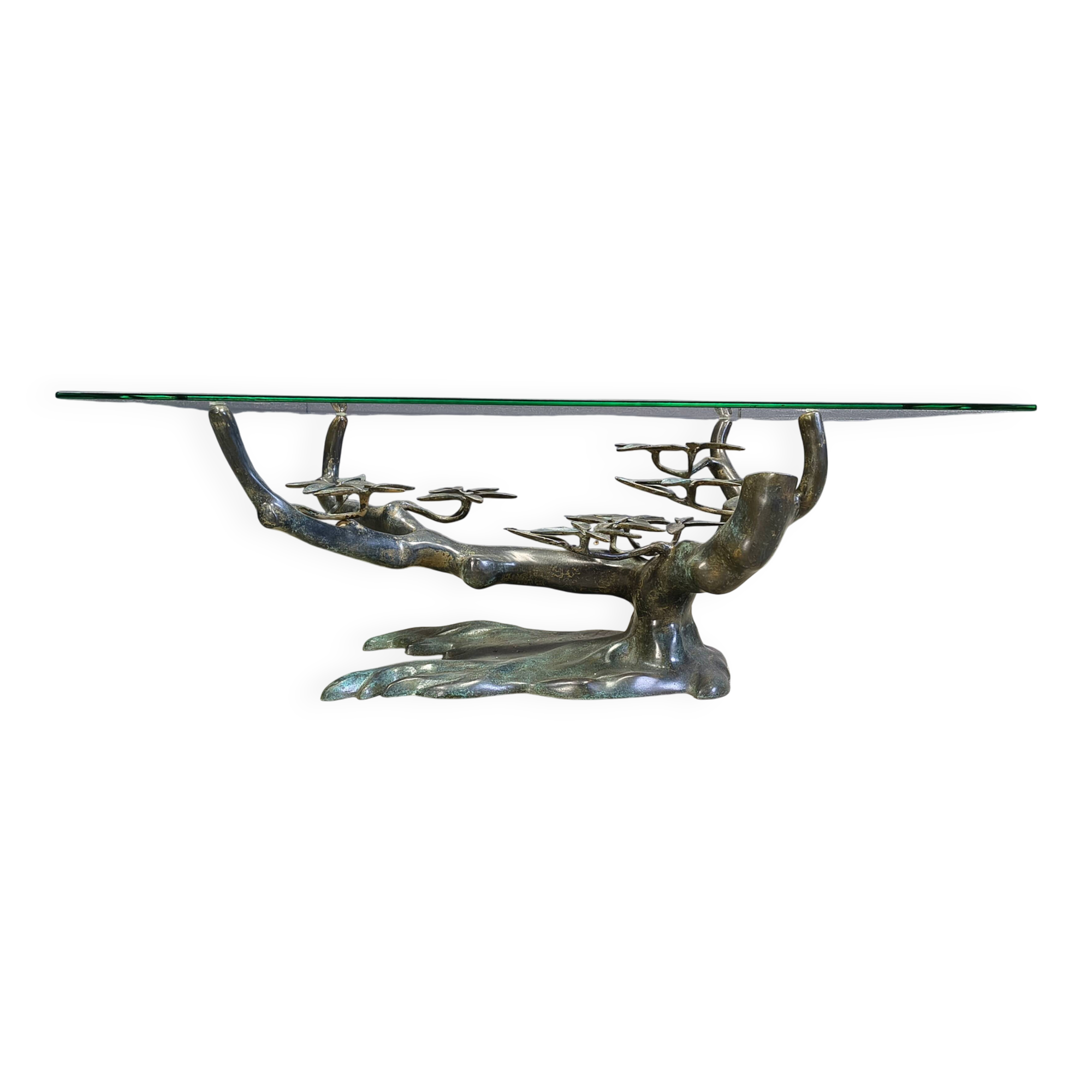 Vintage bonsai coffee table by Willy Daro, 1970s