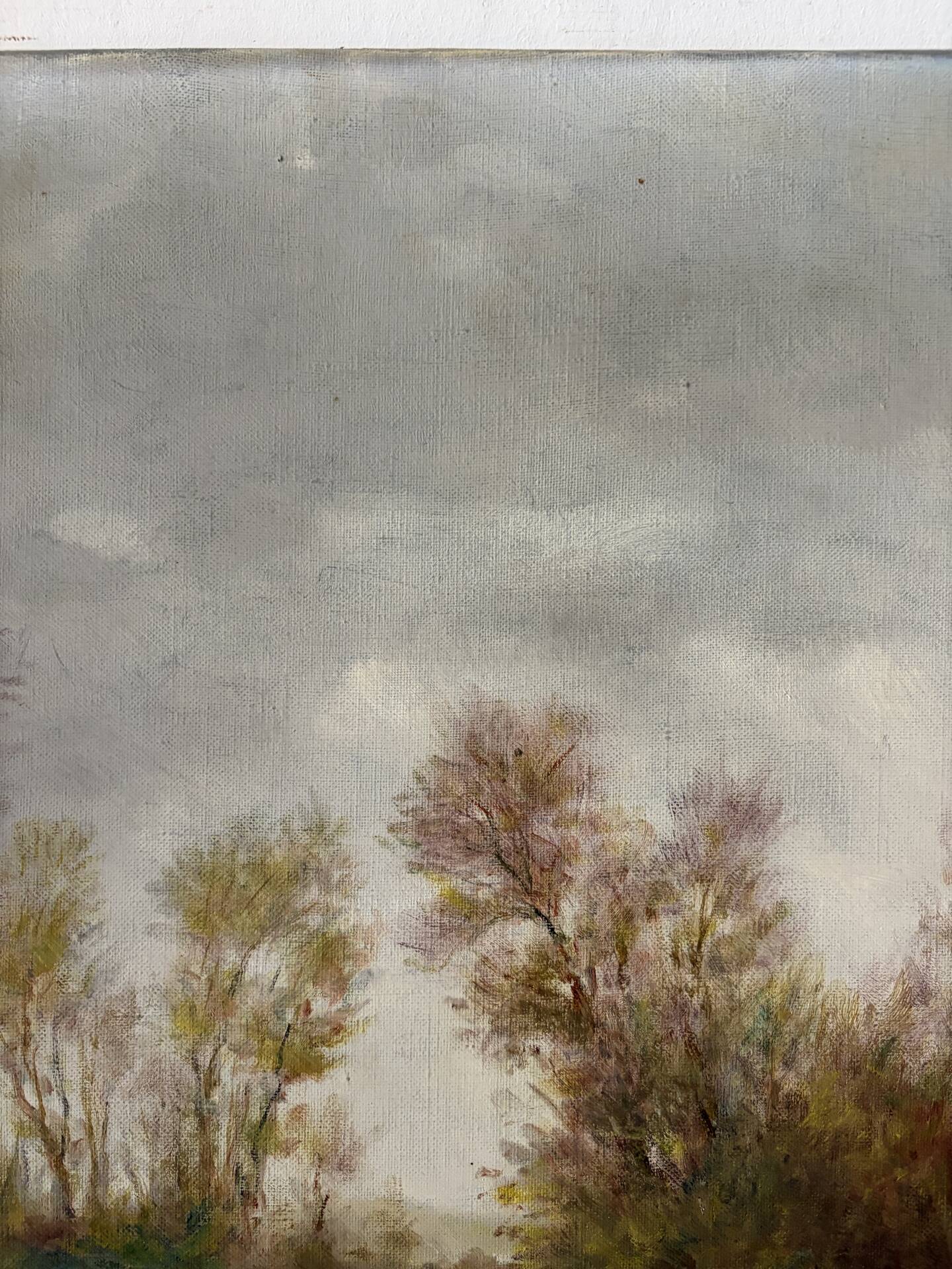 Rural landscape, oil on canvas signed F Baron