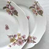 6 antique dessert plates in Limoges porcelain by Haviland & Co.