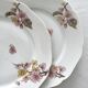 6 antique dessert plates in Limoges porcelain by Haviland & Co.