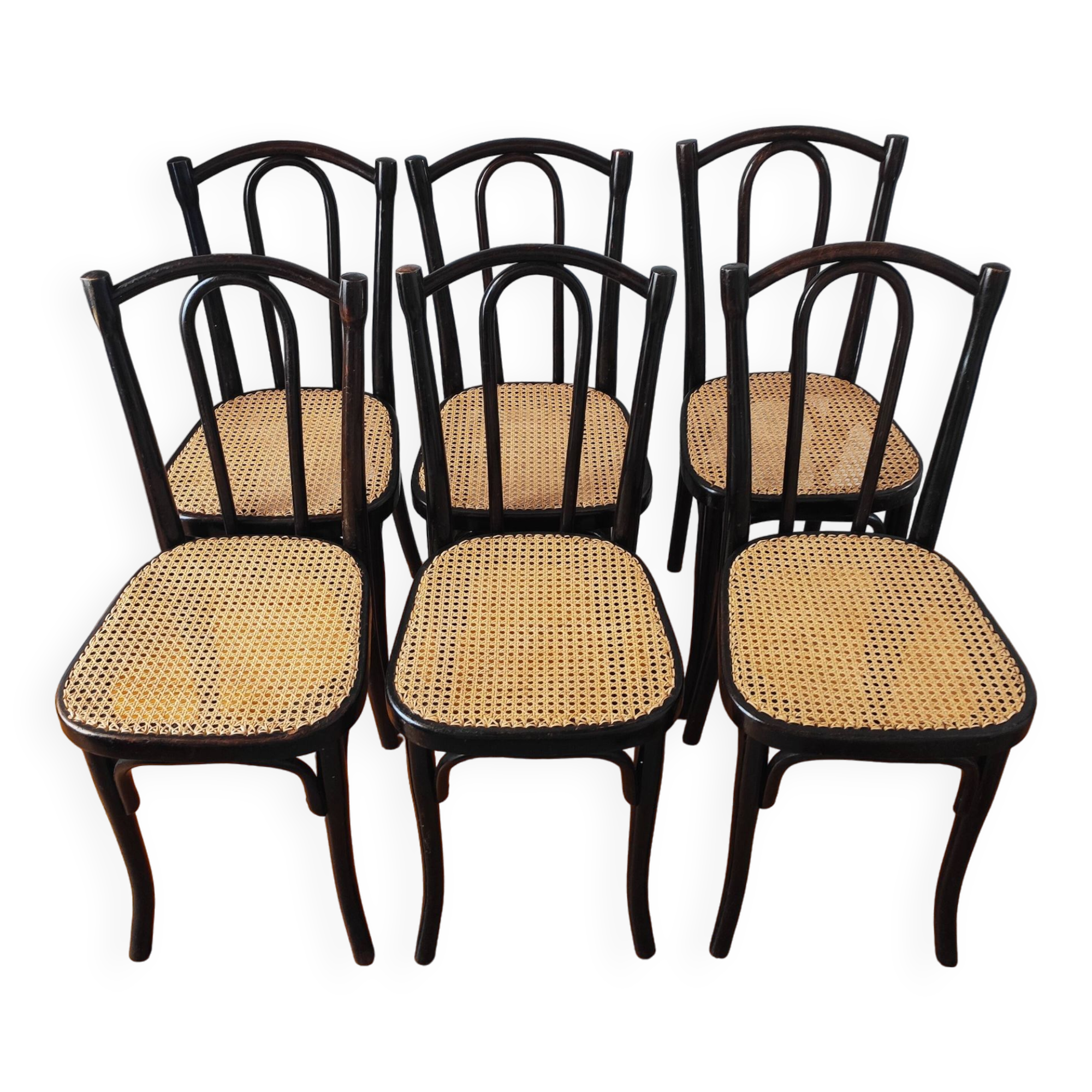 Thonet N°56 new cane chairs