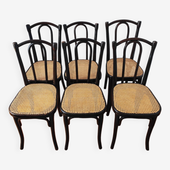Thonet N°56 new cane chairs
