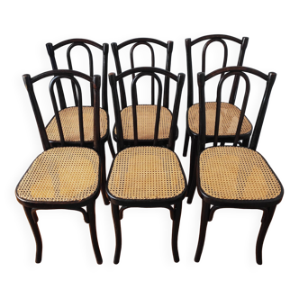 Thonet N°56 new cane chairs