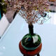 Farm tripod stool