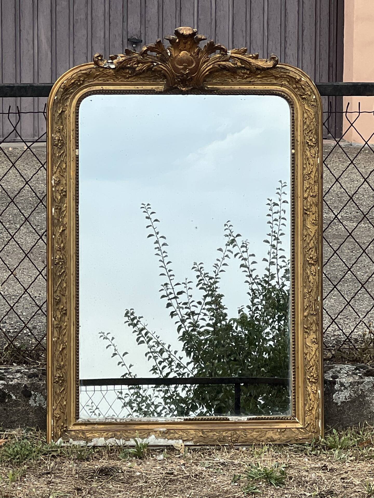 Louis-Philippe gold leaf mirror - sculpted pediment, mercury 117x76cm