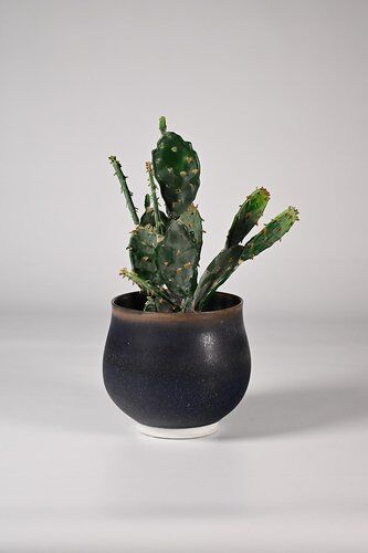 Ceramic Pot by Hein Severijns