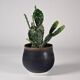 Ceramic Pot by Hein Severijns