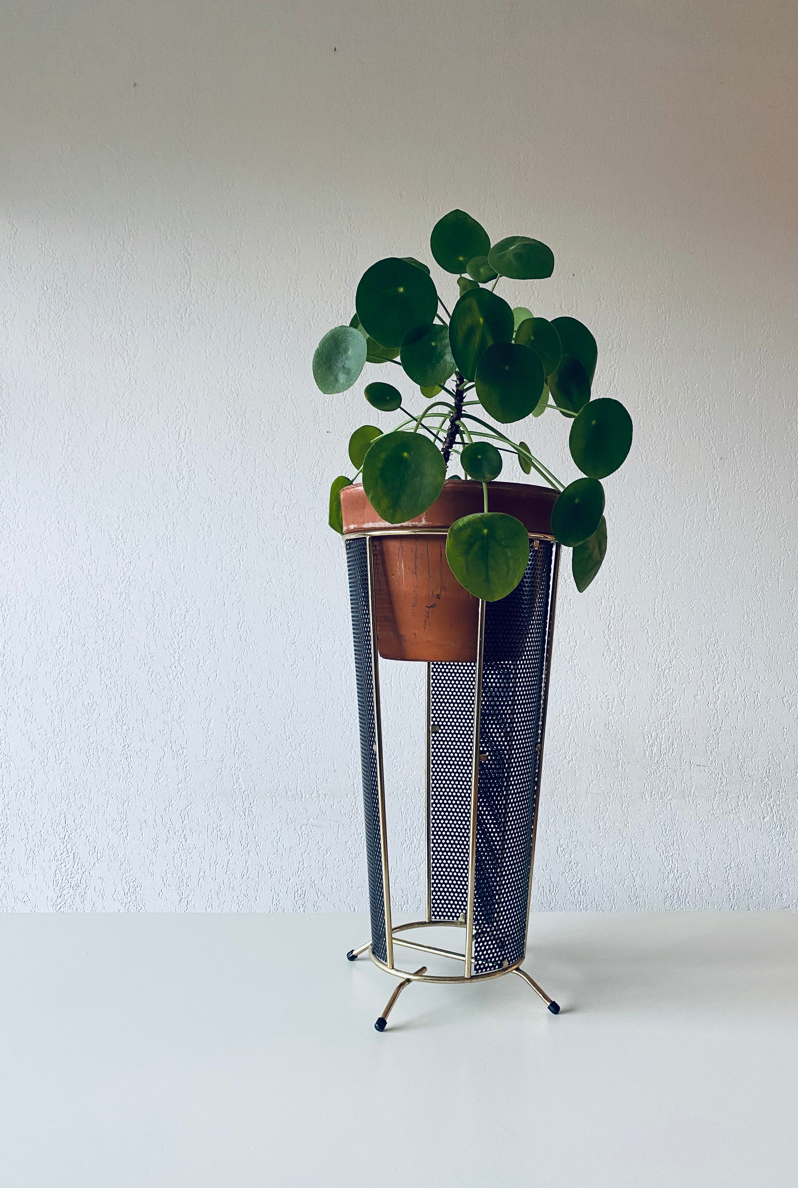 Plant door or design umbrella door