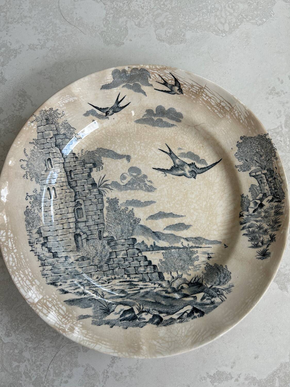 Set of 5 antique Longchamp Donjon ironstone plates.