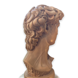 Bust David in plaster