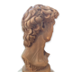 Bust David in plaster
