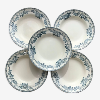 5 Hollow plates Terre de Fer model Guadeloupe Debray blue