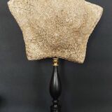 Cabinet de Curiosités étoile de mer culcita schmideliana sur socle