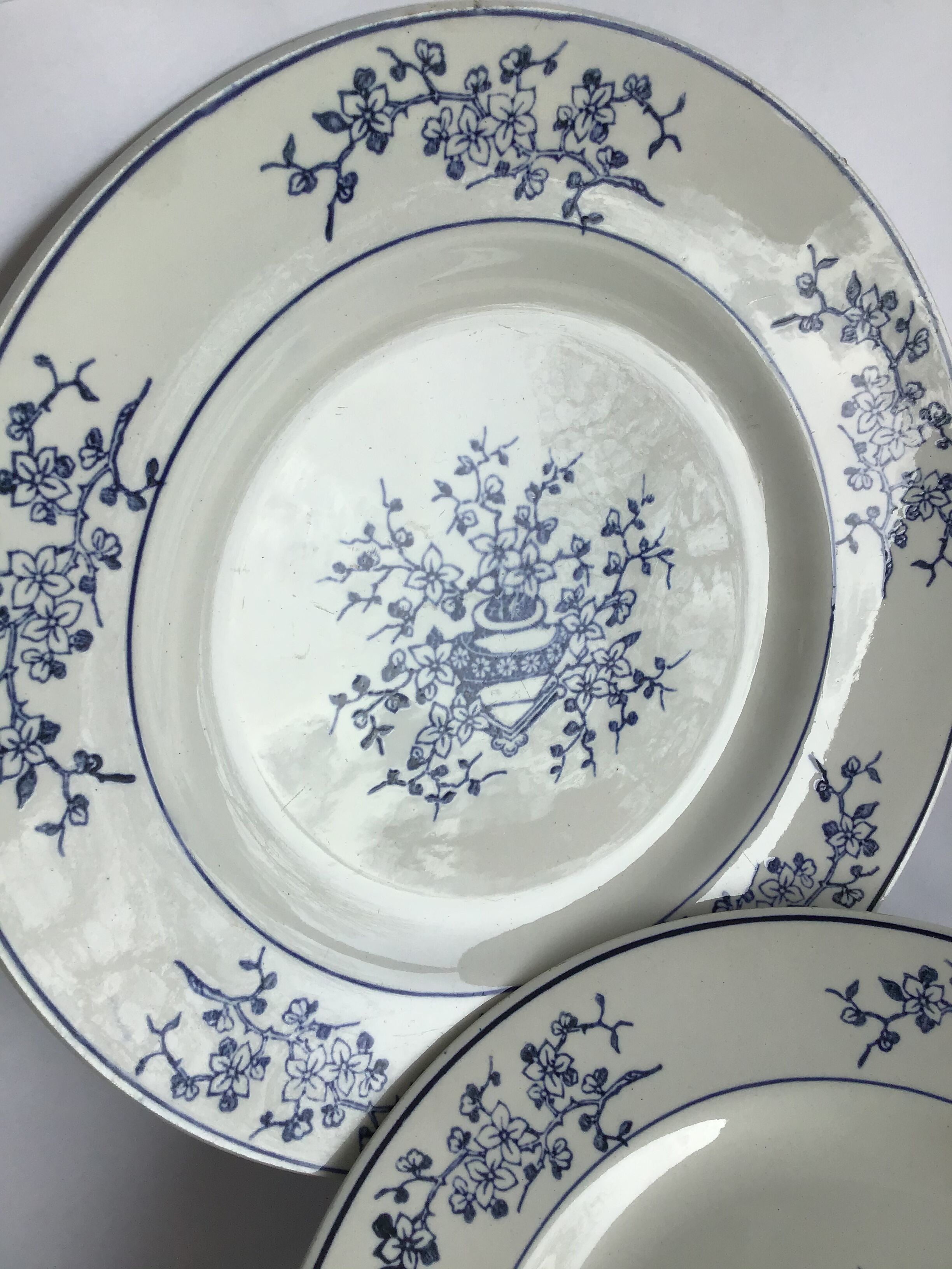Paire assiettes Terre de Fer St Amand marine et blanc