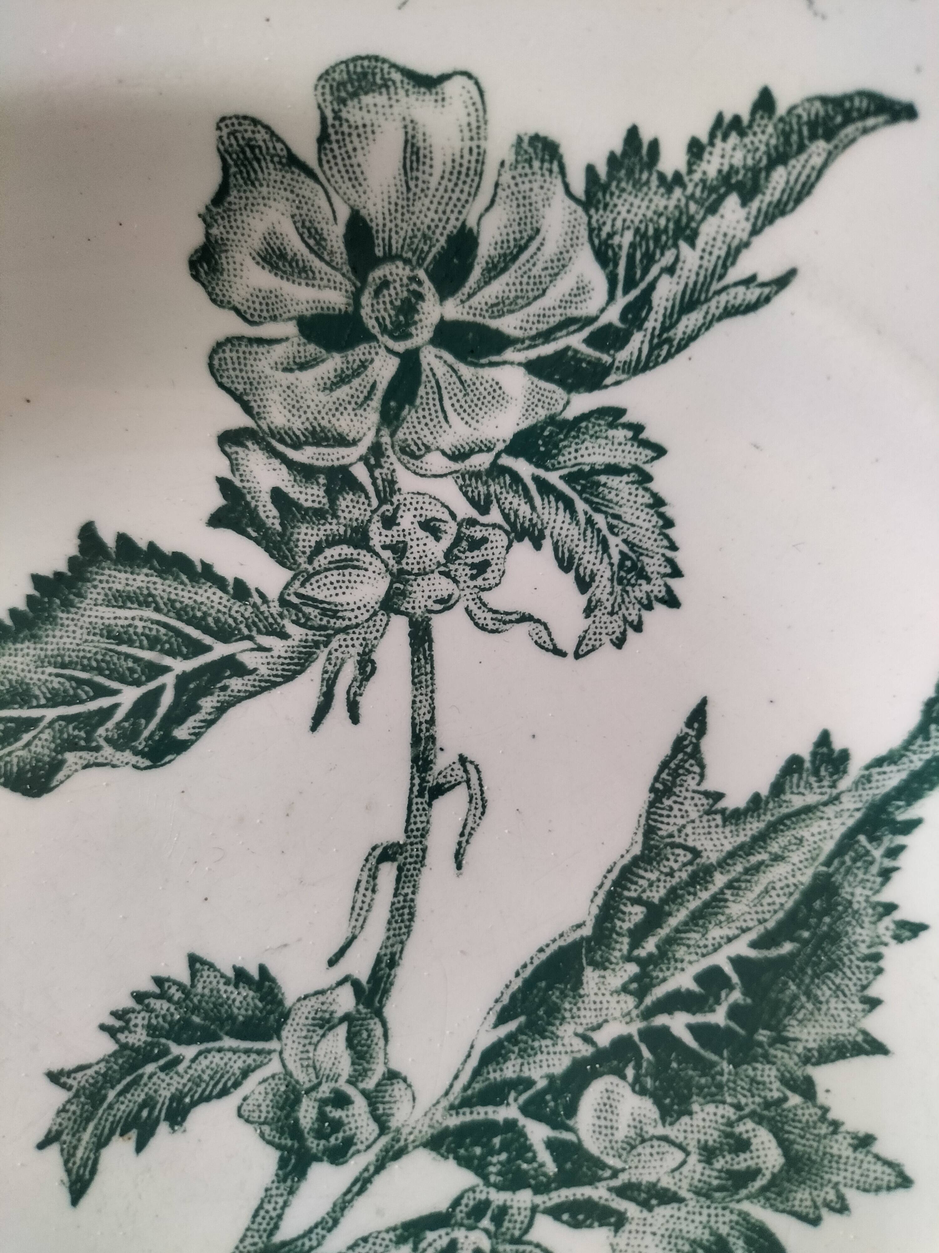 4 ironstone plates A. Lebacqz & M. Bouchart Richelieu model