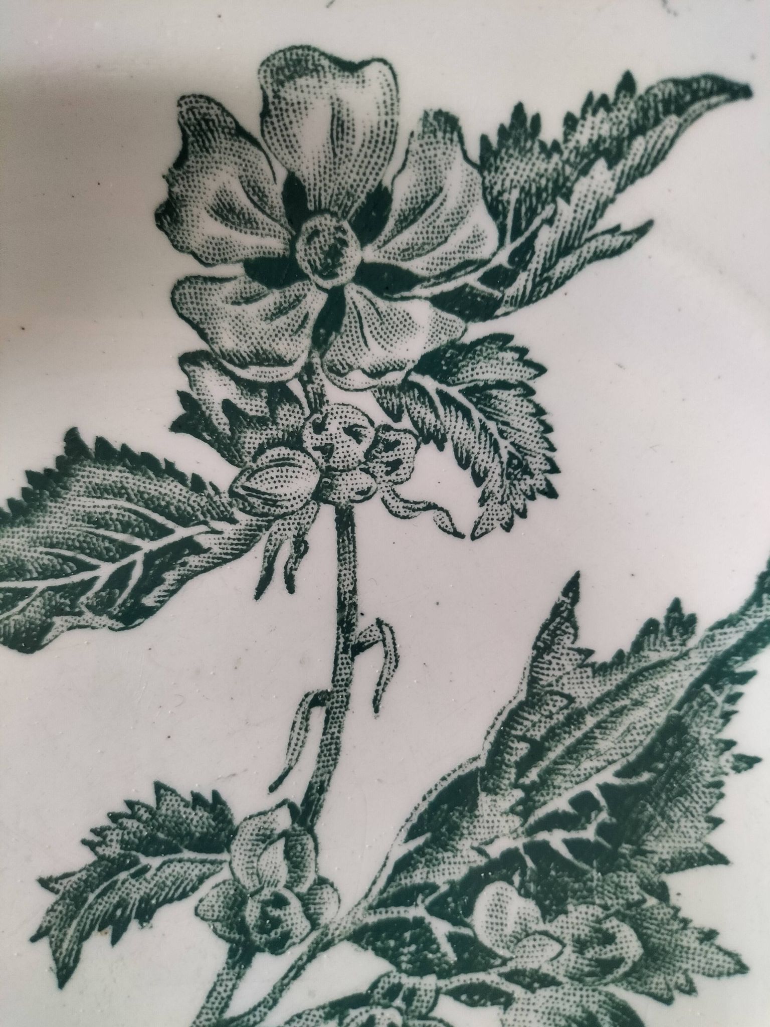 4 assiettes terre de fer A. Lebacqz & M. Bouchart modèle Richelieu