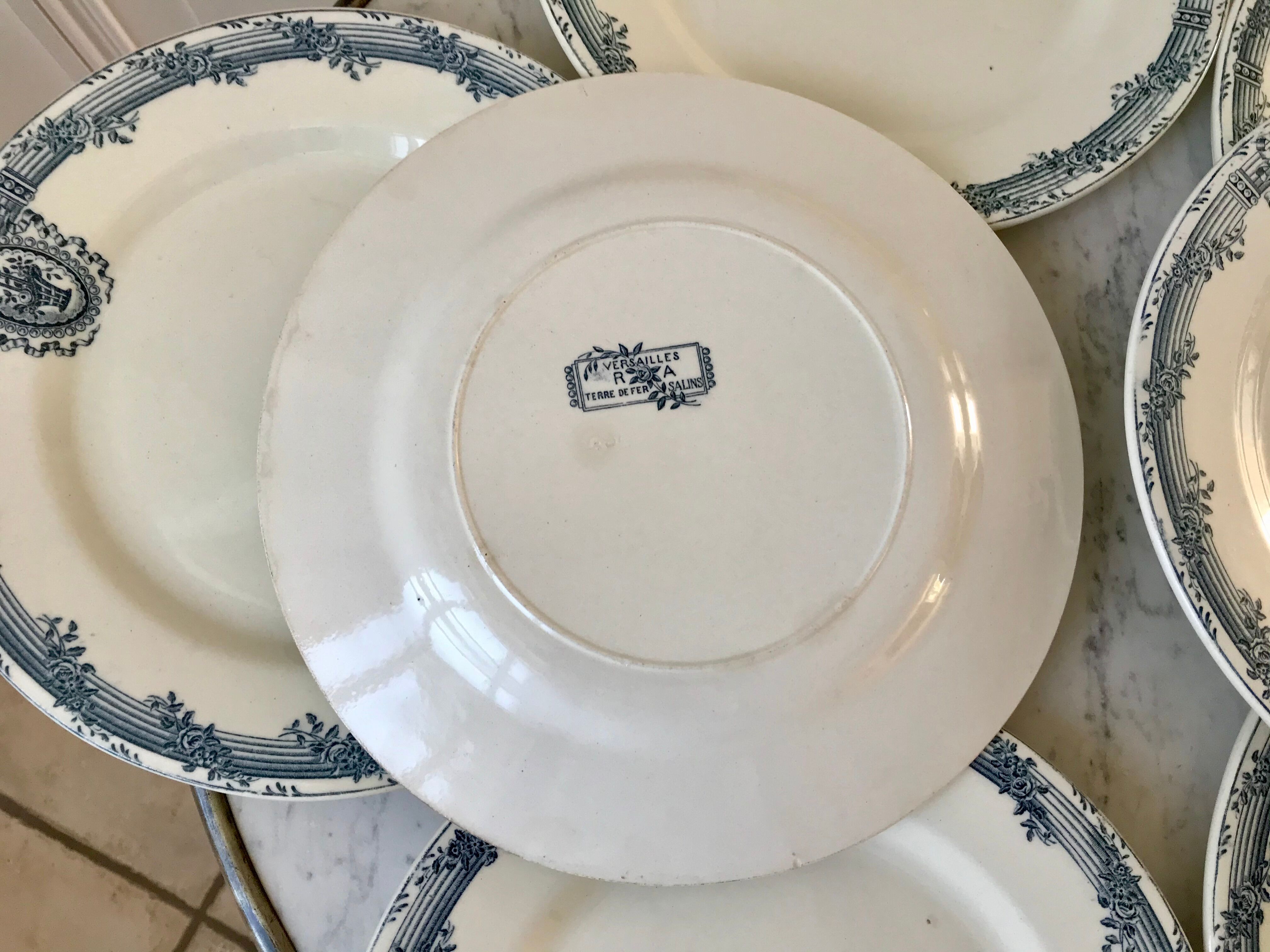7 flat plates Terre de Fer Salins model "Versailles" XIXth