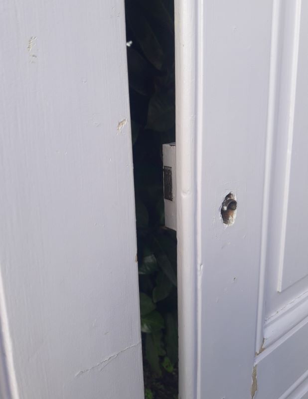 Pair of doors 229,5x110cm closet