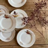 Set of 6 vintage dessert plates