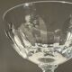 Baccarat Champagne Coupe Cassino Model several available