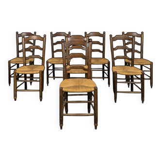 Séries de 8 chaises paillées
