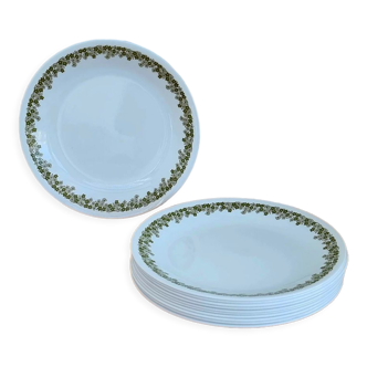 Set of 11 vintage Corelle green flat plates