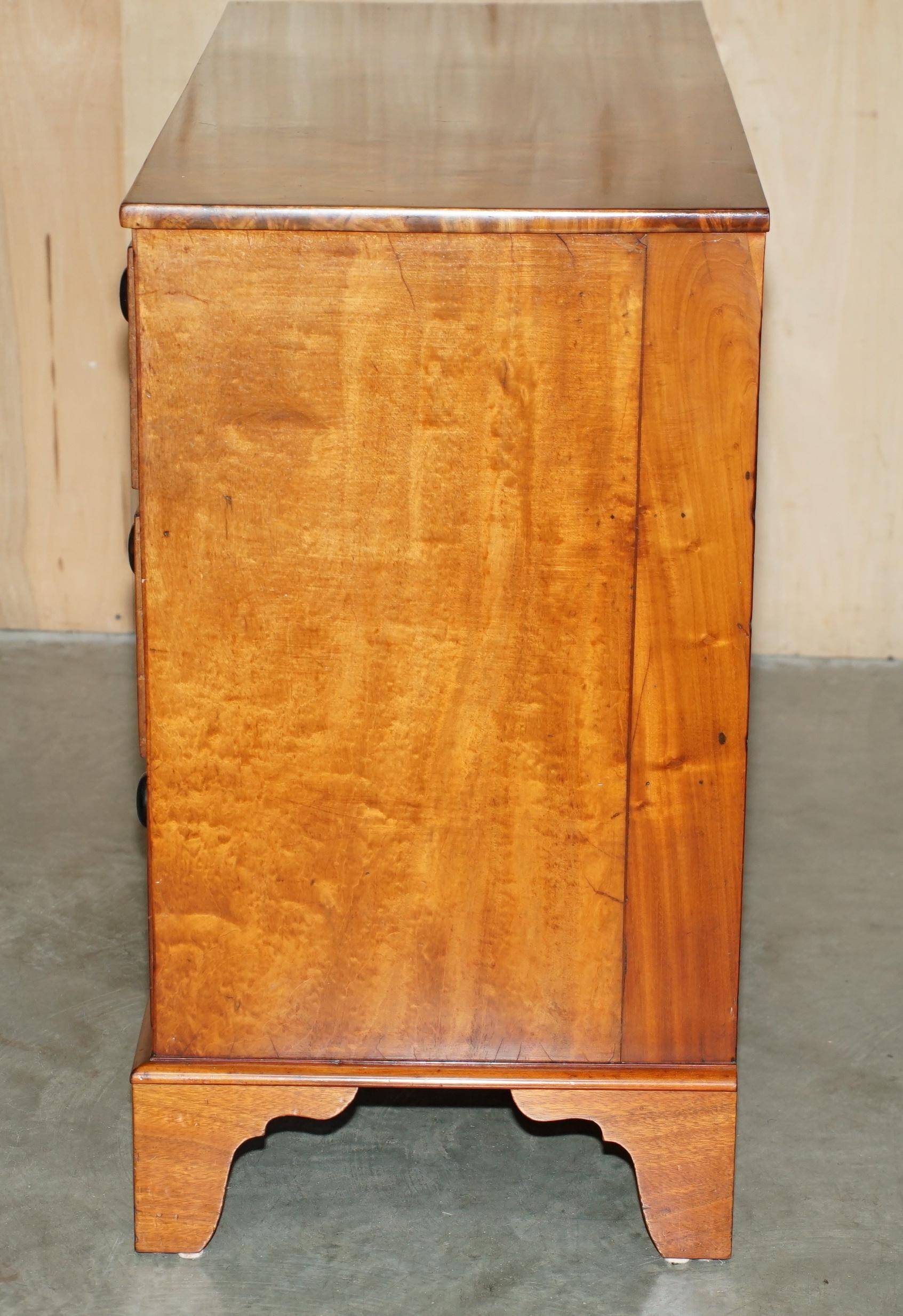 Victorian Chest of Drawers in Satin Walnut, Circa 1860