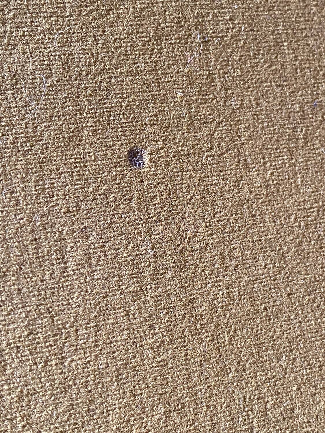 Barrel chair by Pierre Guariche