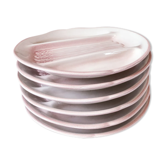 Set of 6 pink asparagus plates