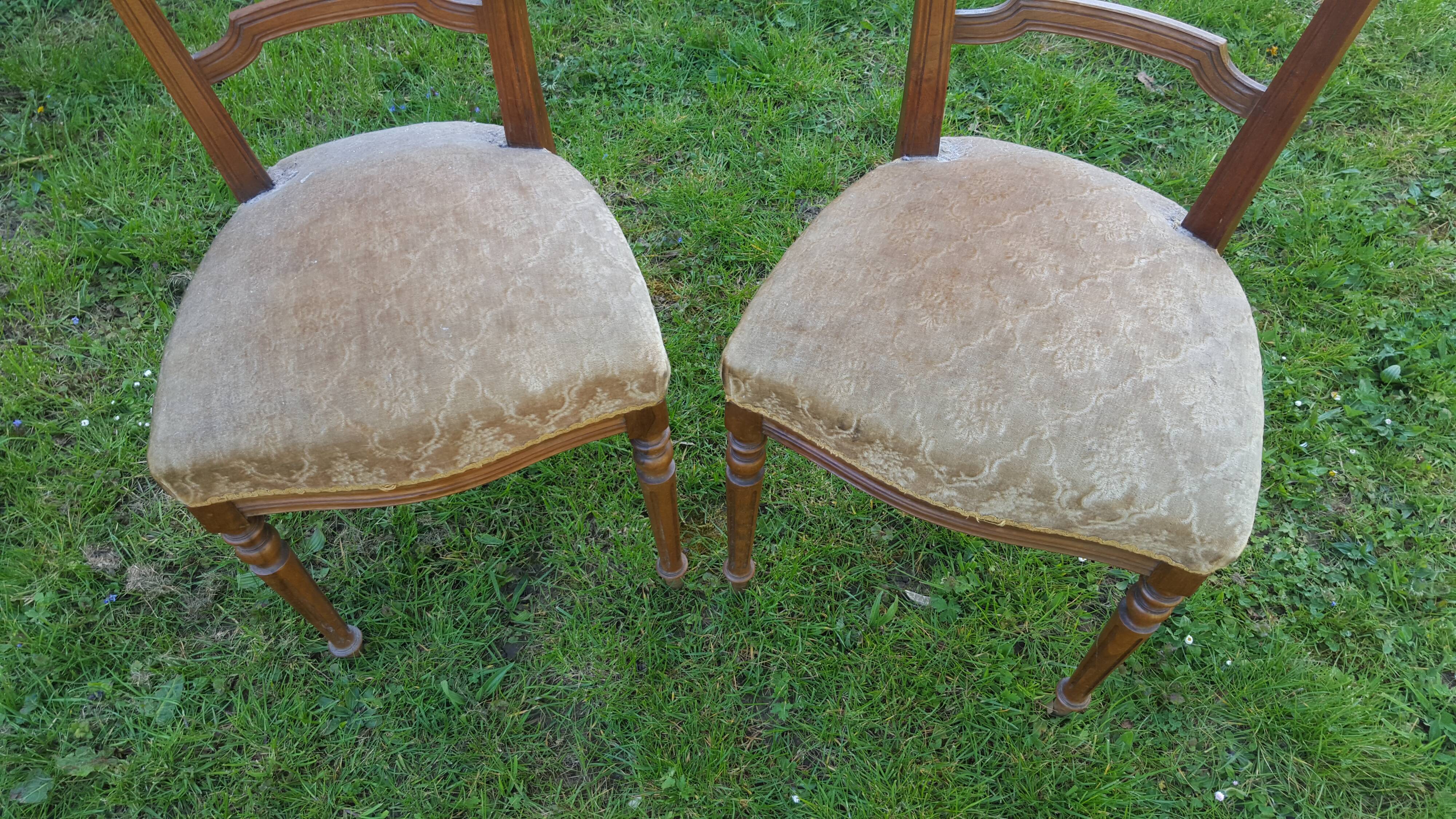 Pair of Napoleon III style chairs