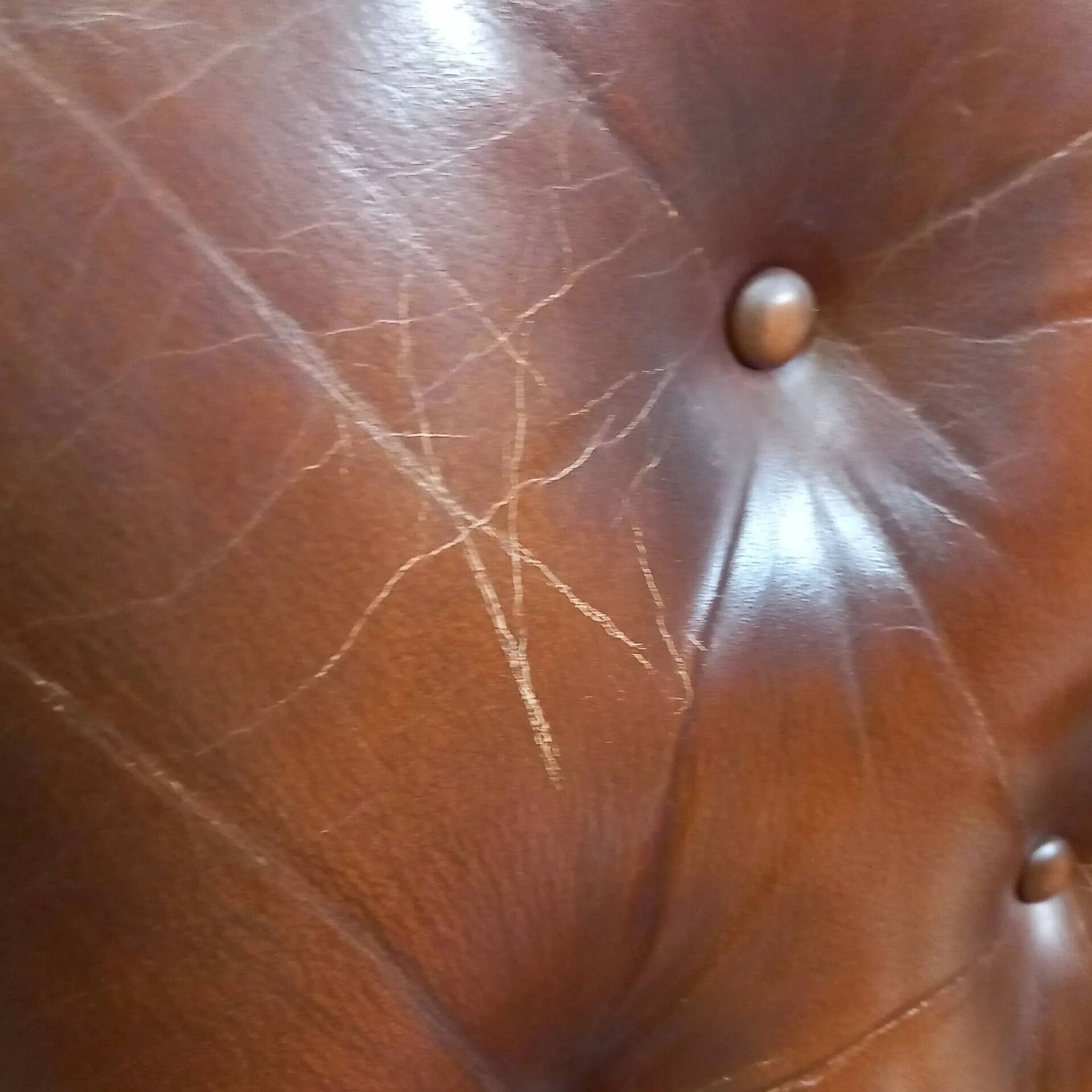 Fauteuil de bibliothèque