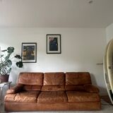 70' Roche Bobois sofa