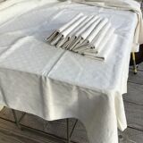 New MS rectangle tablecloth and 9 matching towels