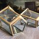 Paire de lampes lanternes laiton et verre
