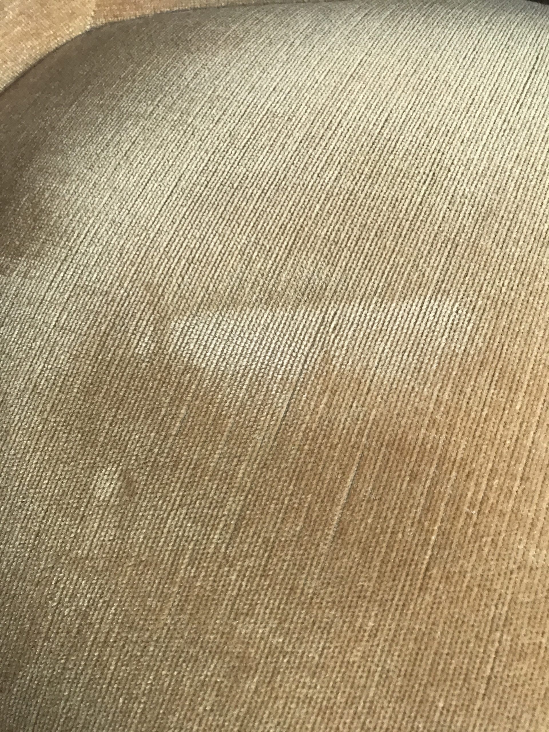 Yellow velvet toad heater